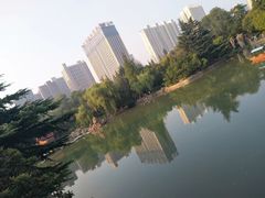 -西苑公园