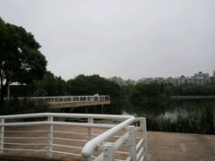 -新江湾城公园