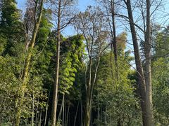 -同里国家湿地公园
