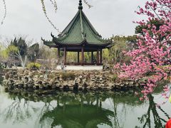 -无锡蠡湖国家湿地公园-蠡园