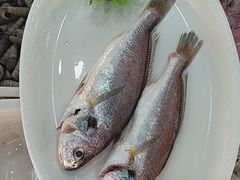 -梅子大排档