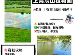 -上海山野camping·户外天幕烧烤·团建拓展营地