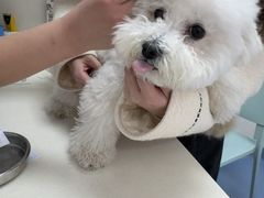 -全心全意动物诊疗中心医院(北苑店)