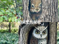 -迎泽公园