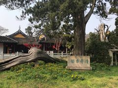 -司徒庙