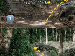 -杭州西湖风景名胜区-满觉陇四眼井