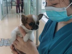 -宠颐生中康贝怡动物医院