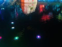 -印象普陀