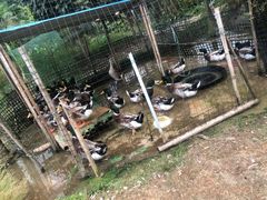 -帆荣农庄