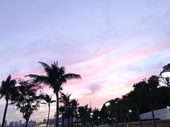 -野狸岛