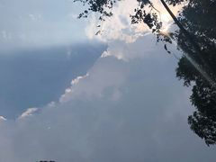 -吉隆坡雀鸟公园