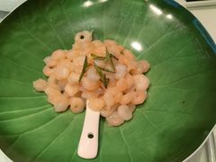 上浆野生河虾仁-张生记(丁香国际店)