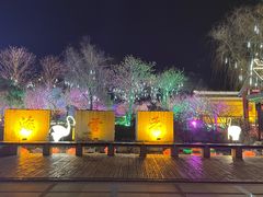 -香雪海