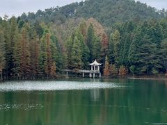 -四明山国家森林公园