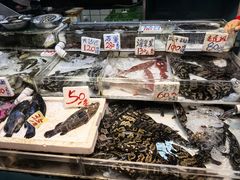 -杨屋道街市