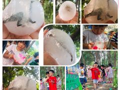 -贝乐多幼儿园(中北校区)