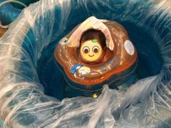 点击看大图 -杭州贝瑞斯美华妇儿医院·早孕·产检·儿科