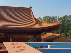 -深圳仙湖植物园