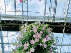 -常州花鸟园酒店(西太湖品牌优选店)