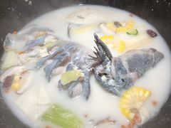 鲜潭蒸汽石锅江团鱼-鲜潭蒸汽石锅鱼(五道口购物中心店)