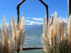 -六阅·福十 FORTEN 海景咖啡西餐厅(双廊古镇店)