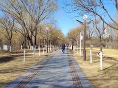 -南翠屏公园