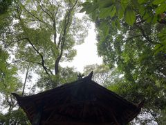 -青城山