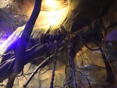 -波塞冬旅游度假区