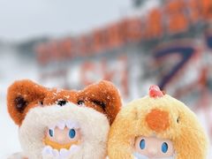 -东北亚滑雪场