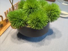 -阿五黄河大鲤鱼(纬三路店)