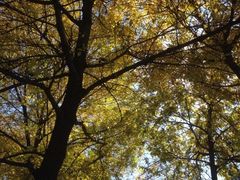 iphone_upload_pic-朝阳公园游乐园