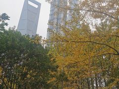 -陆家嘴中心绿地