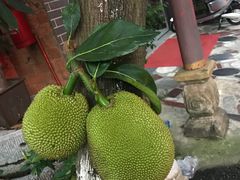 -一品牛鲜潮汕牛肉火锅(茶花园店)