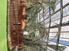 -呀路古热带植物园