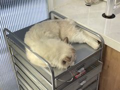 -FULL MOON满月咖啡