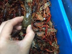 -冰城小镇音乐串吧·聚会餐厅(百子湾店)