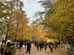 -辽宁大学(崇山校区)