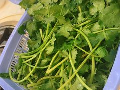 香菜女孩-渝君重庆火锅(嘉宾路店)