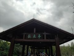 -海珠湖公园