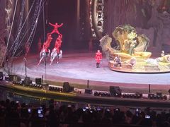 -广州长隆国际大马戏