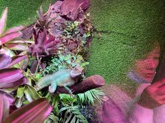 -上海海洋水族馆