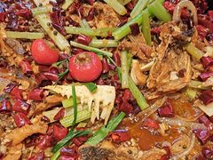 -老板恋上鱼(恒隆广场店)