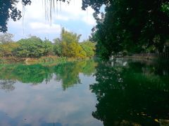 -小洲村