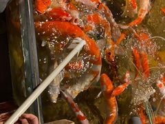 -太平洋海底世界