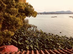-湖畔居茶楼(湖滨店)