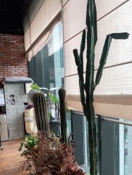 -THE BARN大屋理发馆