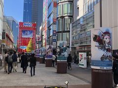 -秋叶原电器街