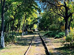 -永定河休闲森林公园