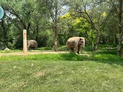 -北京野生动物园