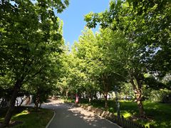 -莲花池公园